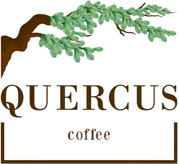 Quercus Coffee